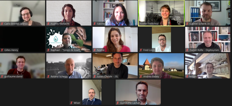 Capture d'écran des participants au webinaire