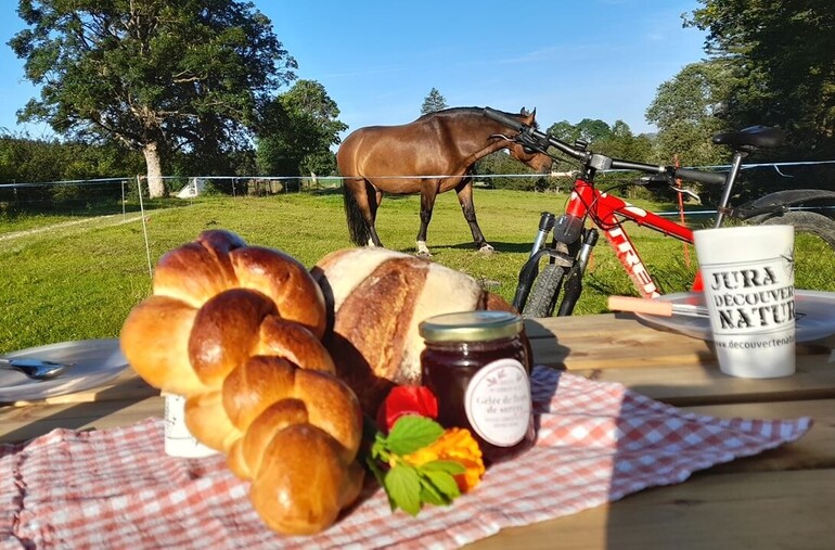 Rando Brunch & Cyclo Brunch dans les Franches-Montagnes