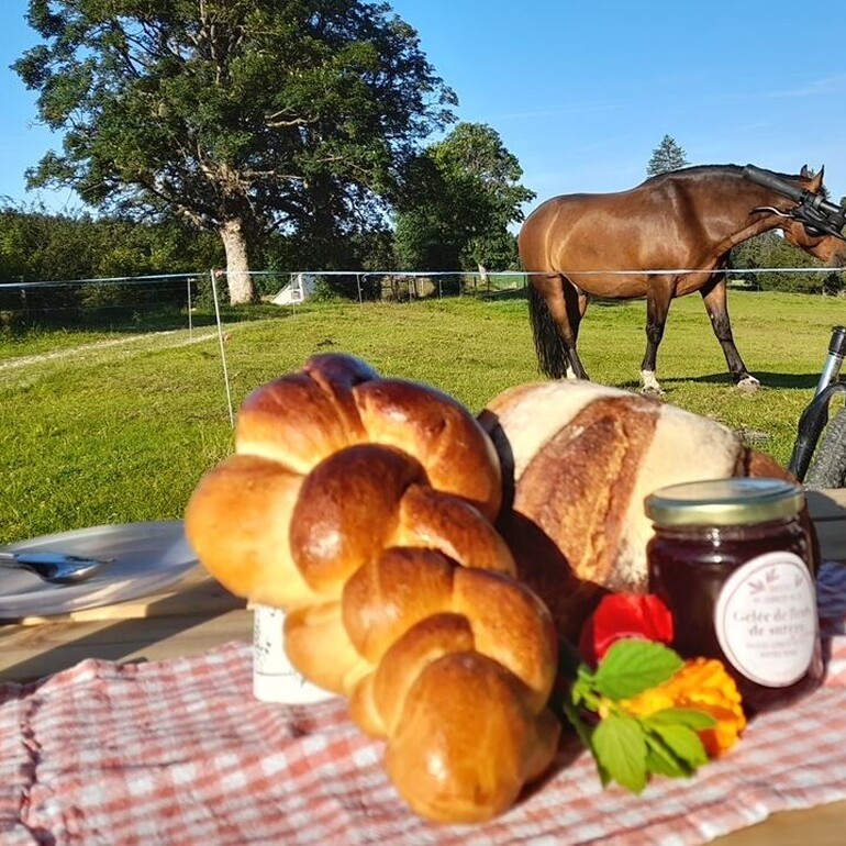 Rando Brunch & Cyclo Brunch in den Freiberger Bergen